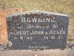 Albert John Bowring 