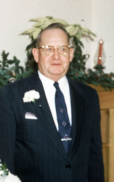 Harry Gustav Johnson 