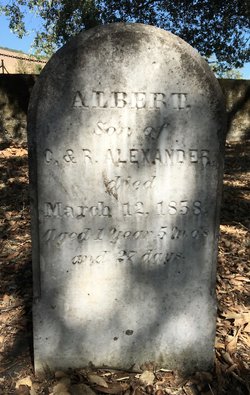 Albert T Alexander 