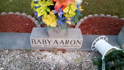 Baby Aaron 
