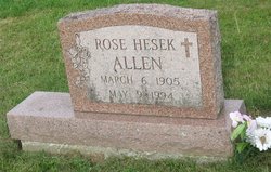 Rose <I>Hesek</I> Allen 