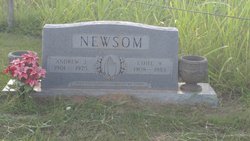 Andrew Jackson Newsom 