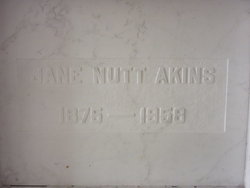 Sarah Jane <I>Nutt</I> Akins 