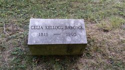 Celia <I>Kellogg</I> Babcock 