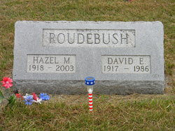David E. Roudebush 
