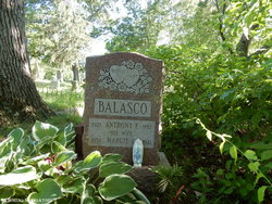 Anthony F Balasco 