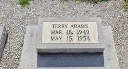 Terry Adams 