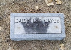 Daisy Lee Casey 