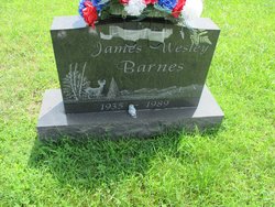 James Wesley Barnes 