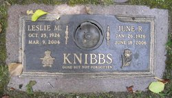 Leslie M Knibbs 