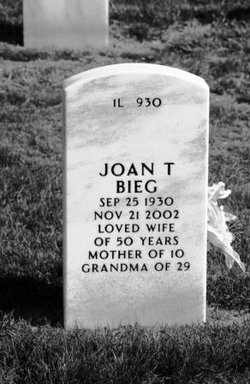 Joan T Bieg 