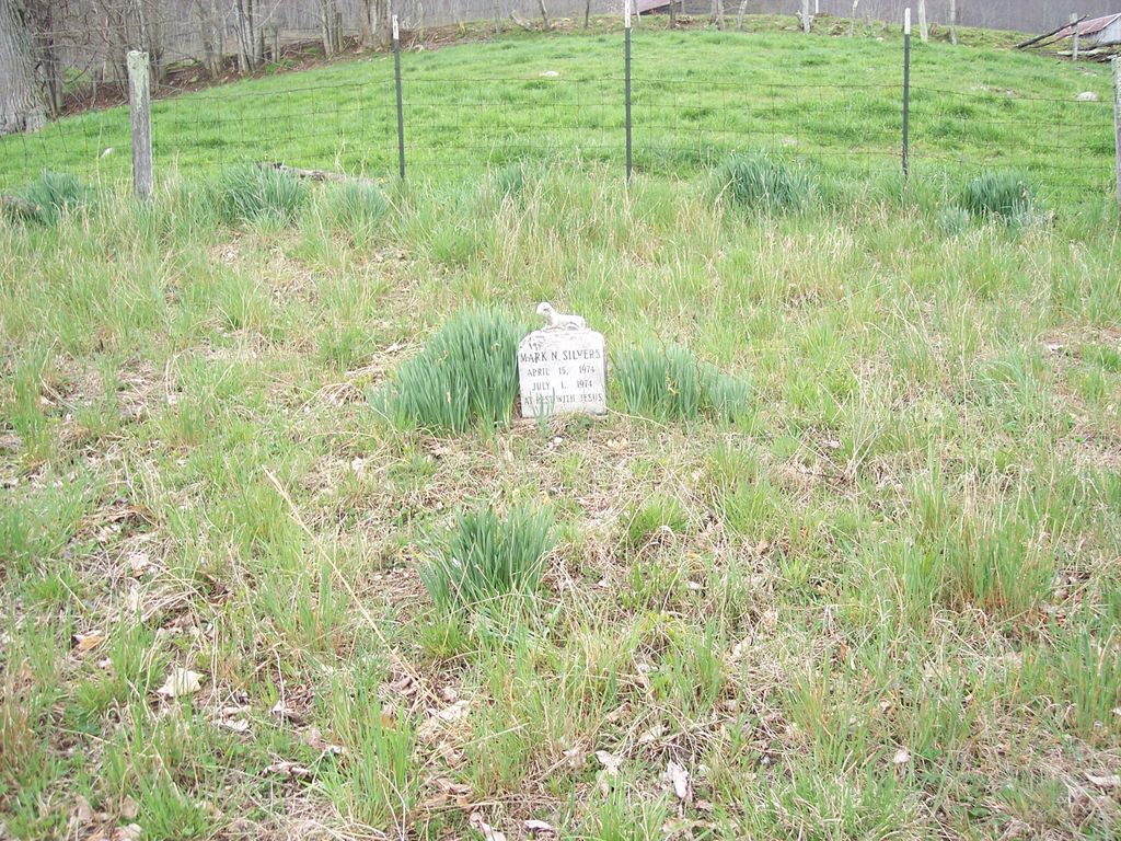 Silvers Family Cemetery