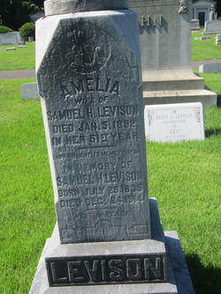 Amelia Levison 
