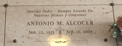 Antonio M Alcocer 