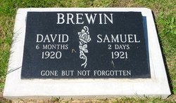 David Edward Brewin 