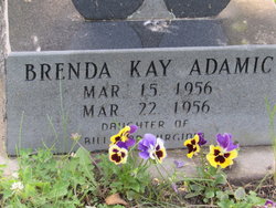 Brenda Kay Adamic 