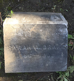 Sarah A Drake 