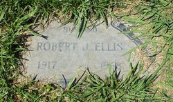 Robert J. Ellis 