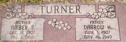 Amber <I>Strong</I> Turner 