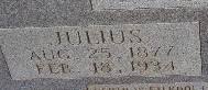 Julius Daniel Hobbs 