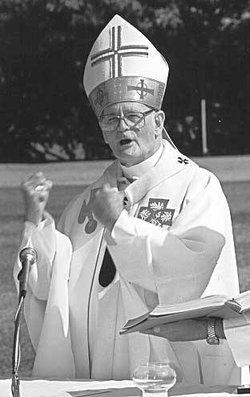 Archbishop Denis Eugene Hurley 