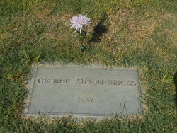 George Anson Briggs 