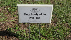 Tony Brady Akins 