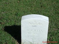 Rocillia <I>Dorsey</I> Morris 