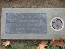 Heather Ann Dandridge 