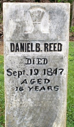 Daniel B Reed 