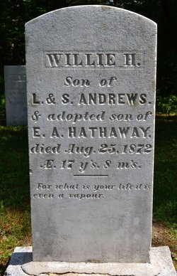 Willie Andrews II