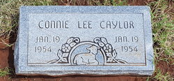Connie Lee Caylor 