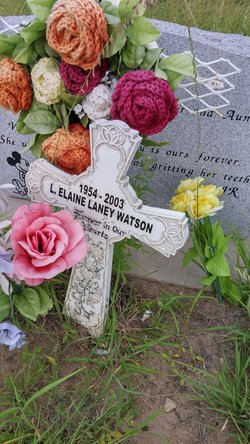 Lois Elaine “Laney” <I>Bozarth</I> Watson 