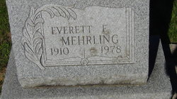 Everett E Mehrling 