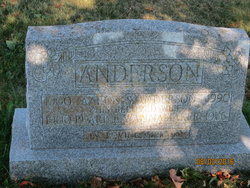 Aaron Stinson Anderson 