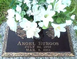 Angel Burgos 