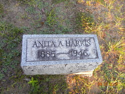 Anita A Harris 