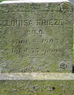 Louisa Jane Frieze 