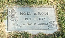 Noel Avon Roof 