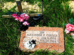 Alexander P Conner 