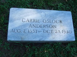 Caroline “Carrie” <I>Halversen</I> Anderson 