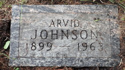 Arvid Johnson 