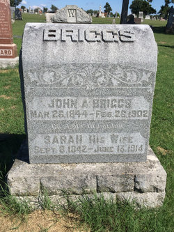 Sarah Ann <I>Ash</I> Briggs 