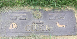 Nellie Louisa “Nell” <I>Donelson</I> Cluck 
