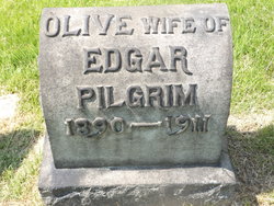 Olive <I>Baxendell</I> Pilgrim 
