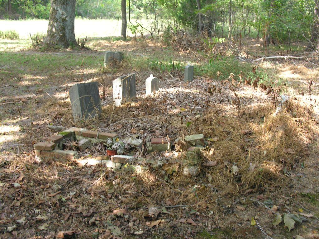 Adams-Collins Family Cemetery