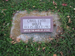 Carol Lynn Wolfe 