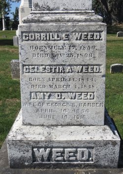 Celestia Ann Weed 