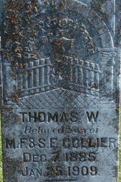Thomas W Collier 