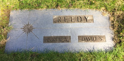 David S Reedy 